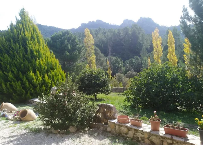 Cortijo Del Cuco
